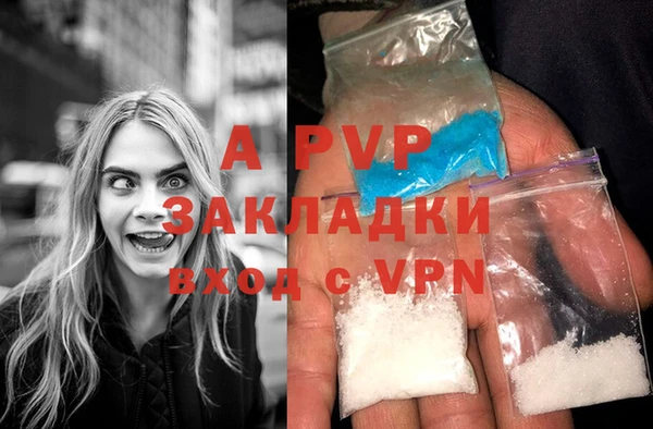 молекула духа Белокуриха