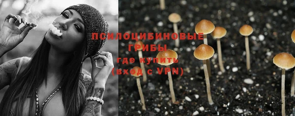 молекула духа Белокуриха