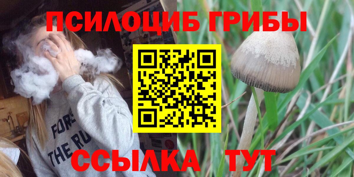 Псилоцибиновые грибы Cubensis  Вход с VPN  наркошоп  Среднеуральск  Галлюциногенные грибы мицелий 
